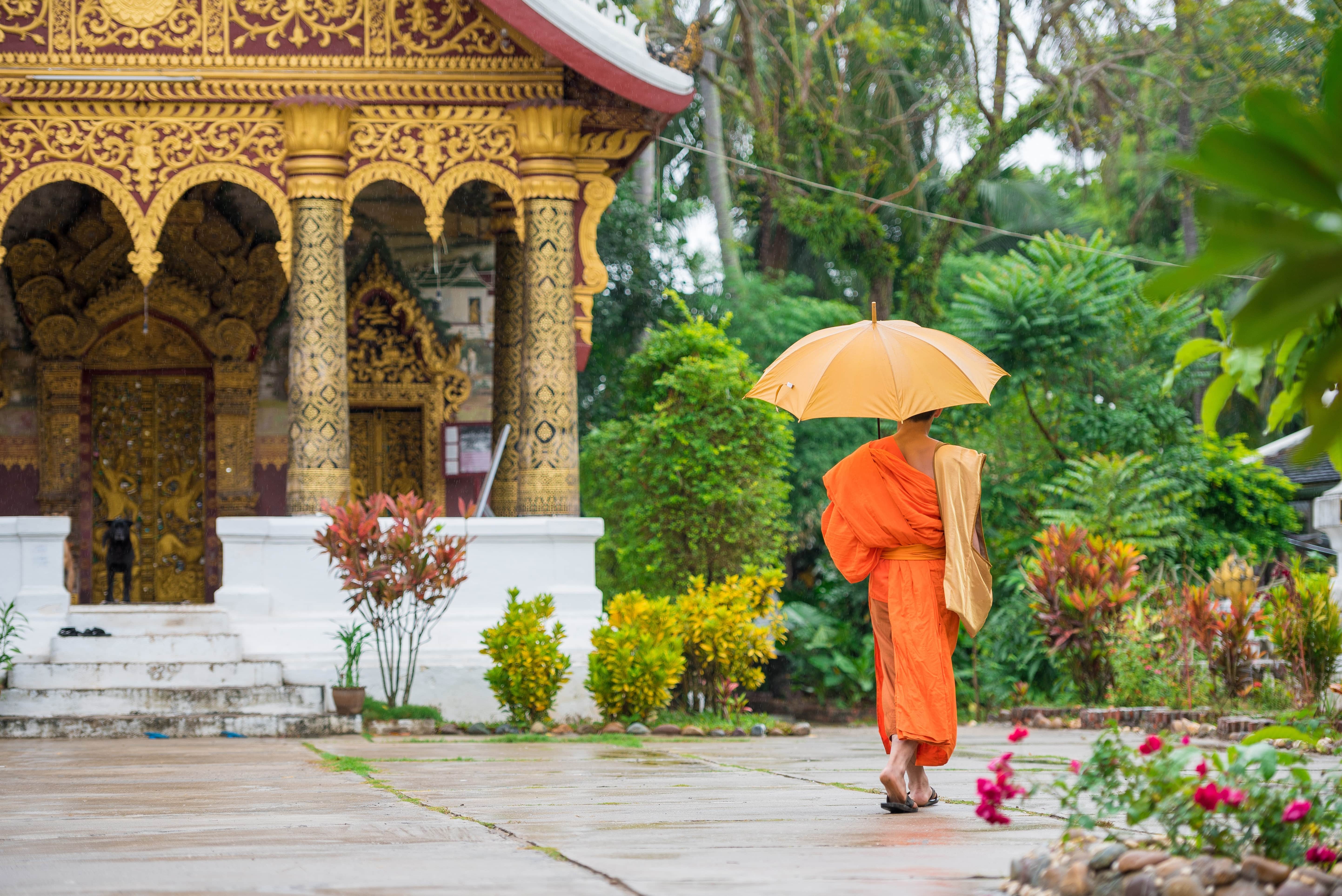 31-2Avani+ Luang Prabang Monk at Local Temple-min (1).jpeg