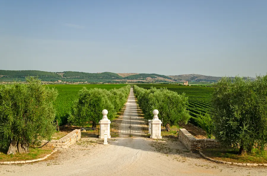 luxury properties in italy - puglia