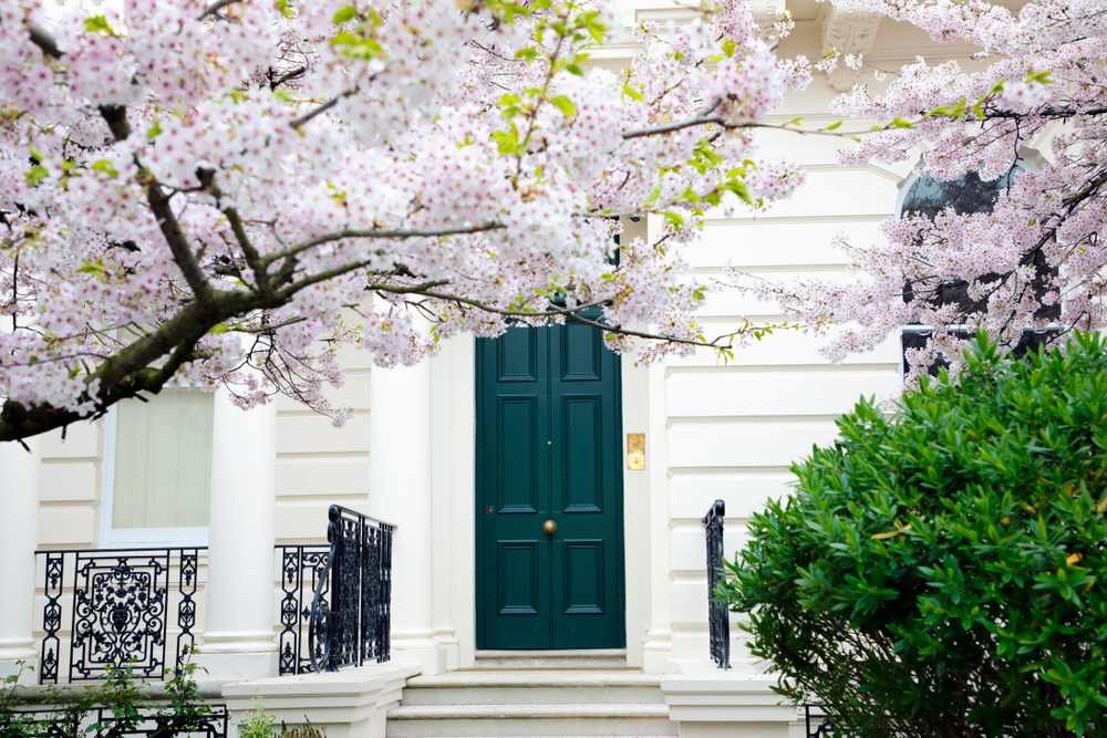 High-Value Mortgages for Asset-Rich, Income-Poor Clients - What Are The Options?