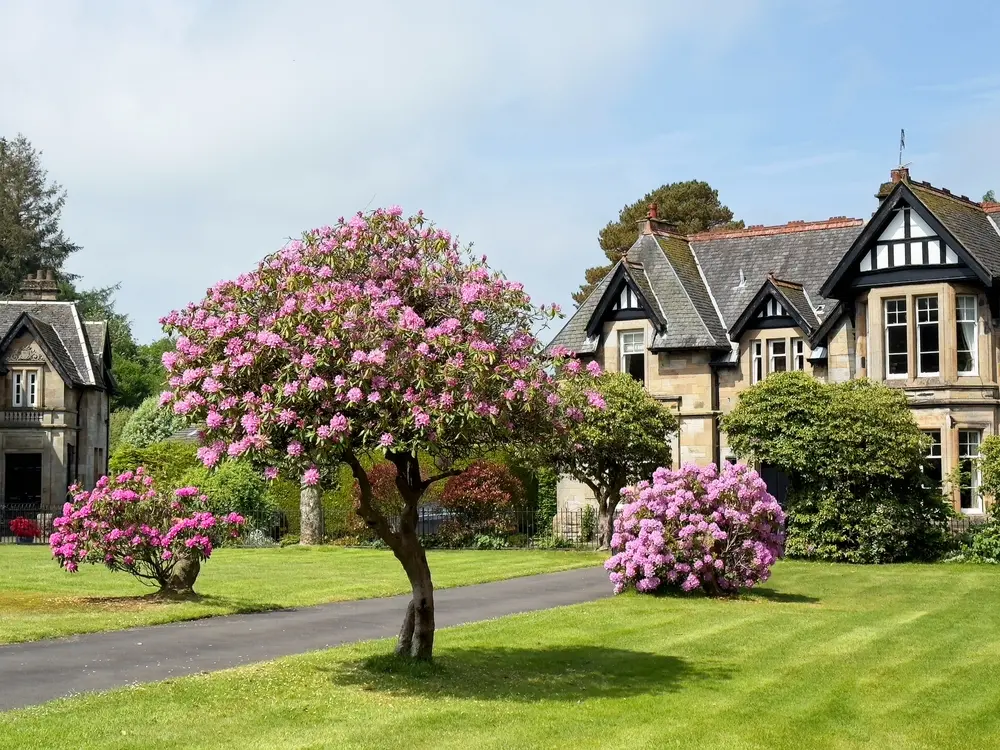 Arranging mortgages for clients with large assets but relatively low personal income