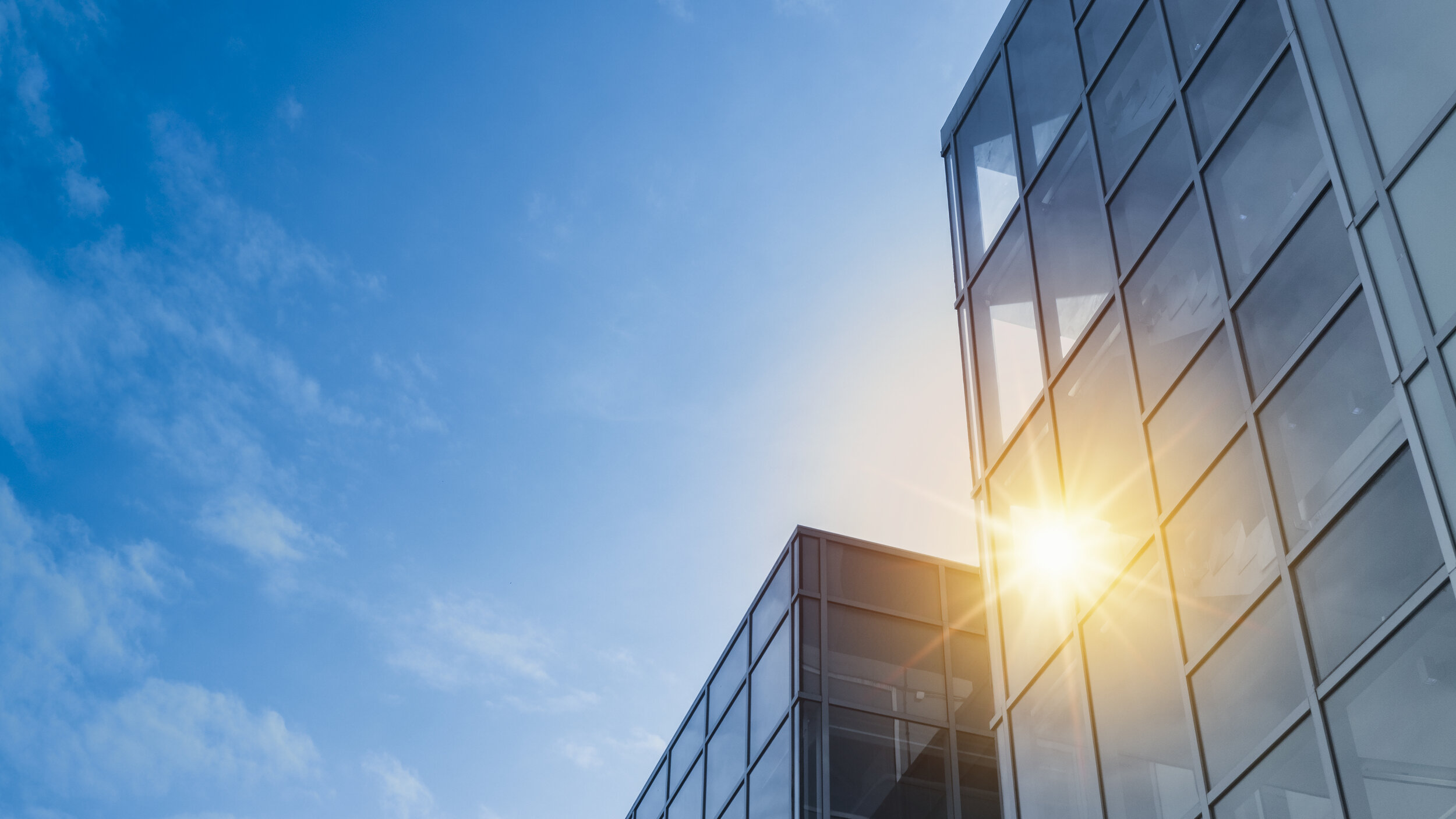 Trade Finance Loan