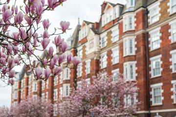 High value mortgage for £7 million prime Chelsea property 