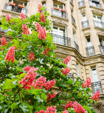 €10M French Mortgage for US National