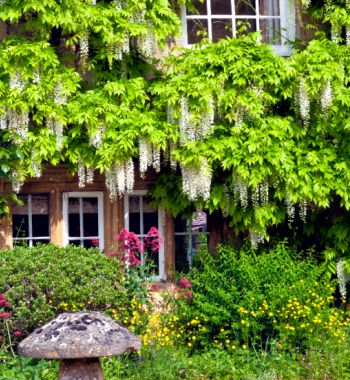 Refinance on luxury properties for London developer