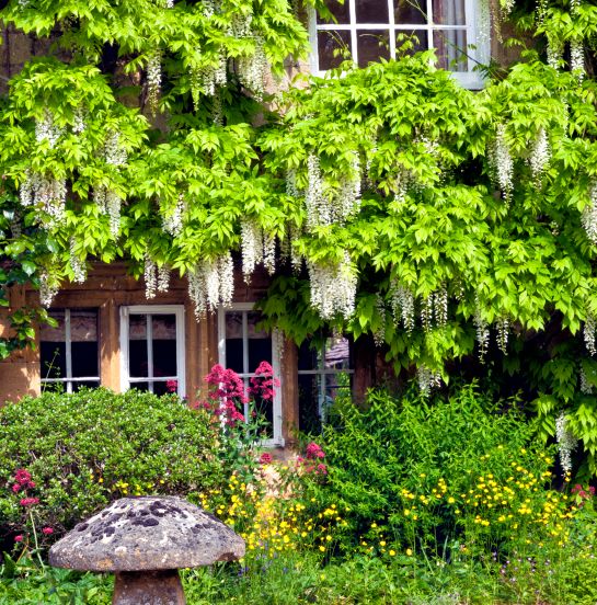 Refinance on luxury properties for London developer