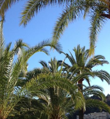 €3.85million refinance and equity release on French Riviera properties