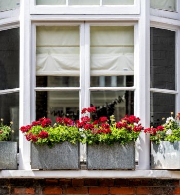 First Time Buyer Mortgage for Dutch National