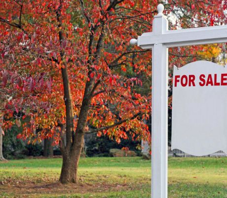 Fixed or tracker rate mortgage: which should you choose?