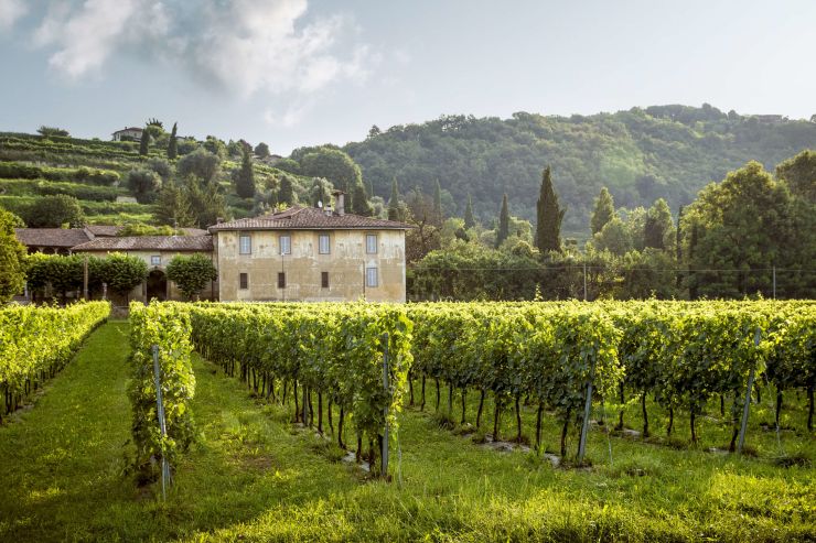 Purchase and renovation of Côte d’Azur town house