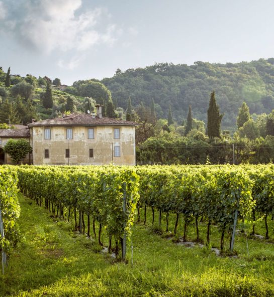 Purchase and renovation of Côte d’Azur town house