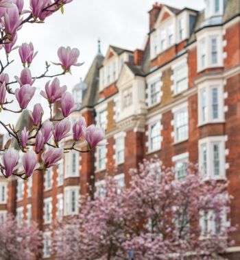 High value mortgage for £7 million prime Chelsea property 
