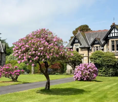Arranging mortgages for clients with large assets but relatively low personal income