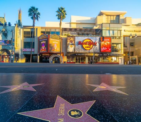 Walk of fame 
