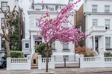  Interest-Only Remortgage