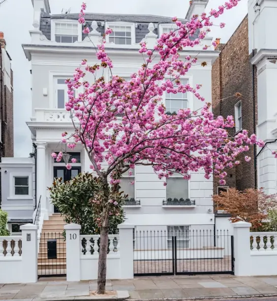  Interest-Only Remortgage