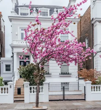  Interest-Only Remortgage