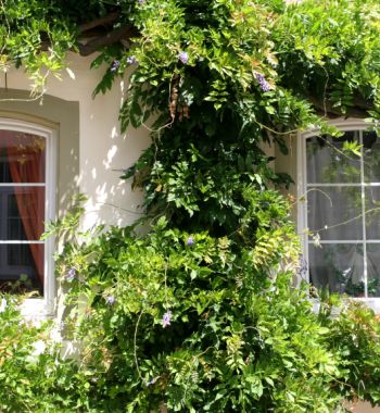 Mortgage for British expat earning in Dirham in the UAE
