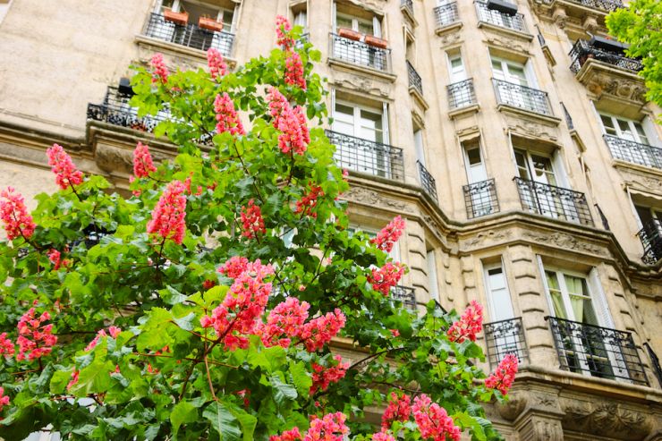 €10M French Mortgage for US National