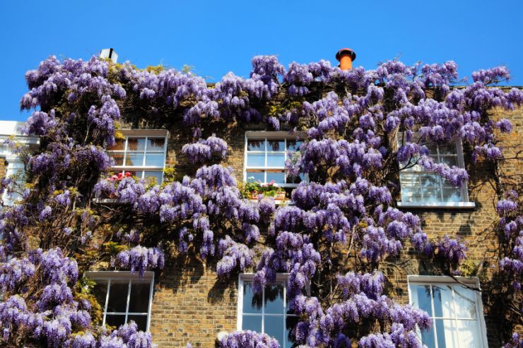 Remortgage from residential to buy to let for clients moving overseas