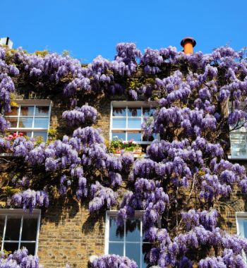 Buy-to-let mortgage in London for Pakistani resident