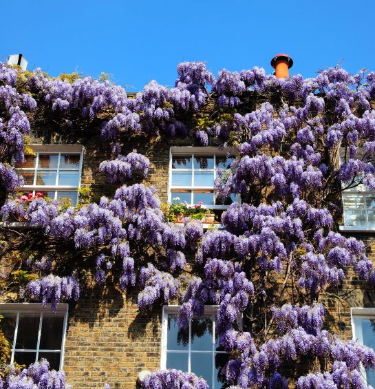 Remortgage from residential to buy to let for clients moving overseas